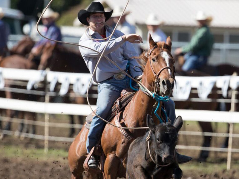 cody quaney tie down roping slone saddles