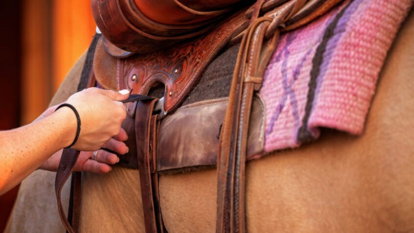 how to fit a saddle to a horse guide