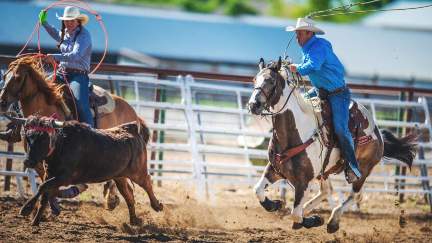 best team roping saddles in 2026