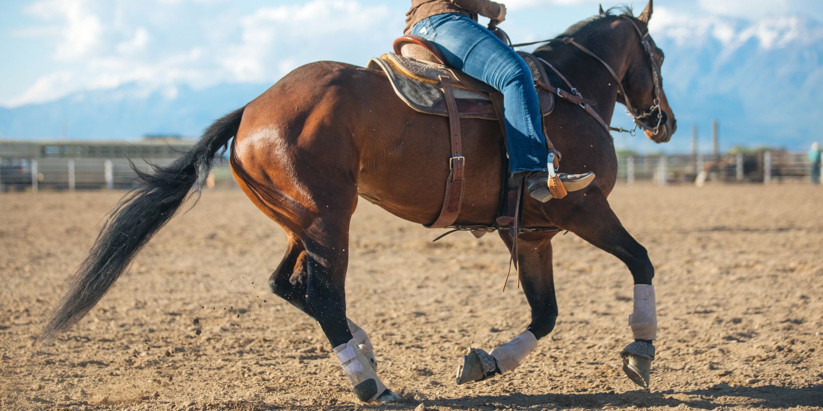 all-around saddles for western riding and rodeo